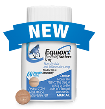 Equioxx 2024 for dogs